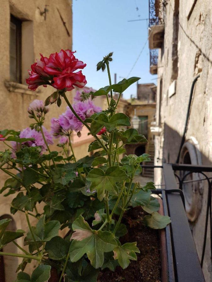 Casa vacanze Da Mammanonna Taurasi Esterno foto